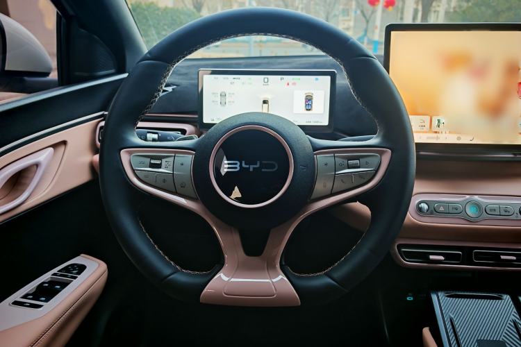 Used BYD Seagull 2025 Smart Drive Version 305 km Freedom Edition