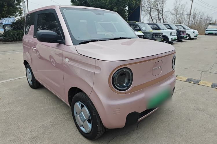 Used  Panda 2024 Panda Mini 200km Endurance Bear