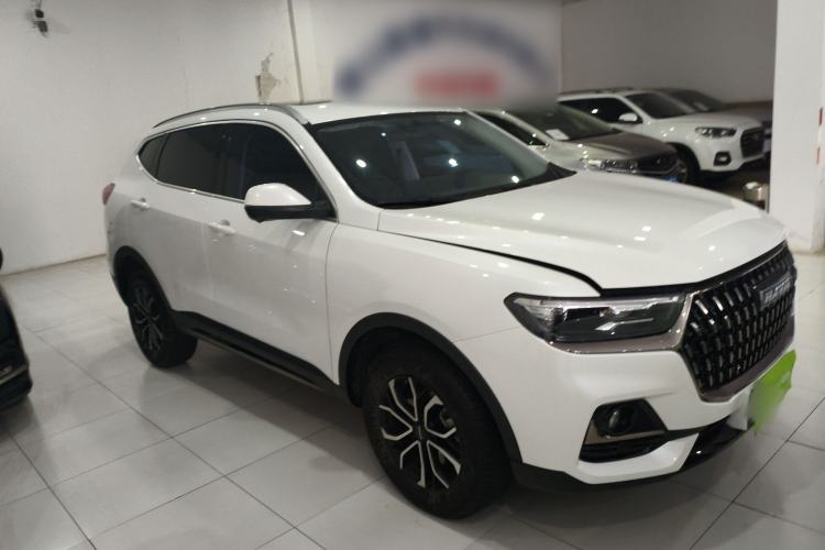 Used Haval H6 2023 National Trend Edition 1.5T Automatic Urban Version
