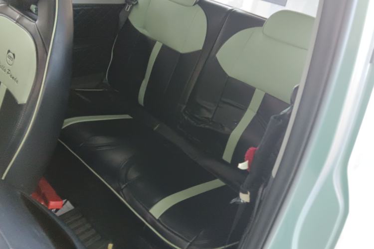 Used  Panda 2023 Panda Mini 200km Endurance Bear
