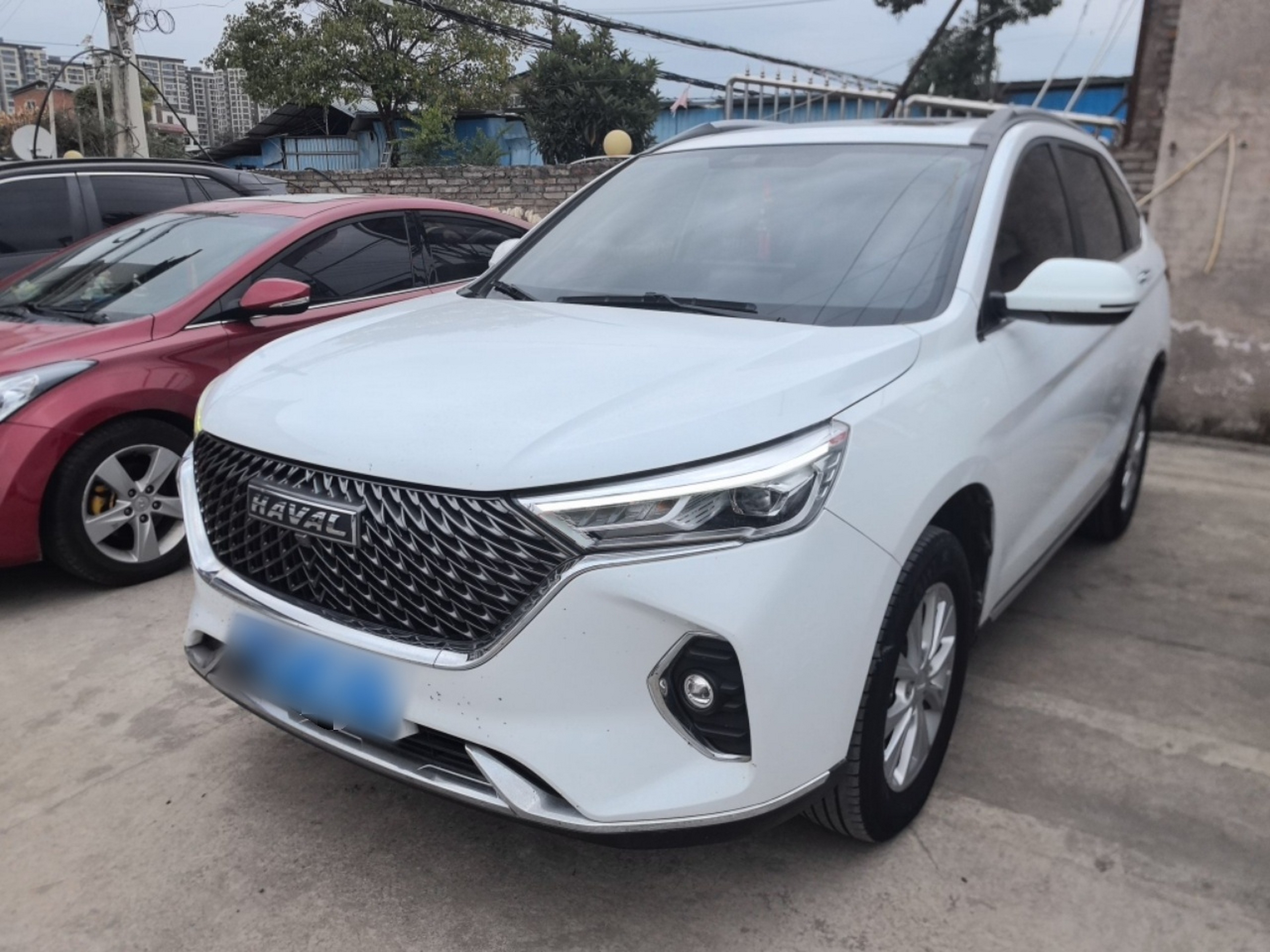 تحت مقدمة السيارة