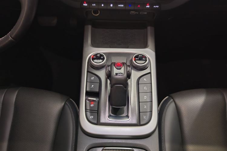 Used Tank 300 2024 2.0T Conqueror