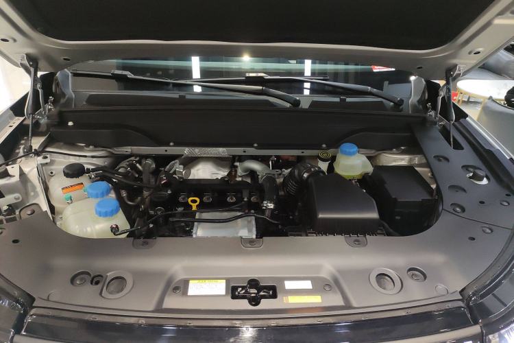 Used  eπ008 2024 210Max Range-Extended Version 6 Seats
