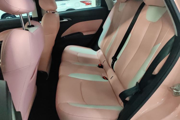 Used NETA V 2021 Witch Edition
