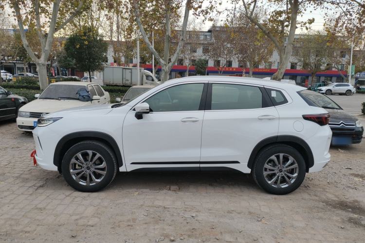 Used  Zhuifeng 2020 Chasing the Waves Edition 1.5T CVT Xingrui Version
