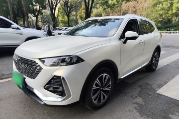 Used Wey Latte DHT 2022 1.5T DHT Extra-Large Cup