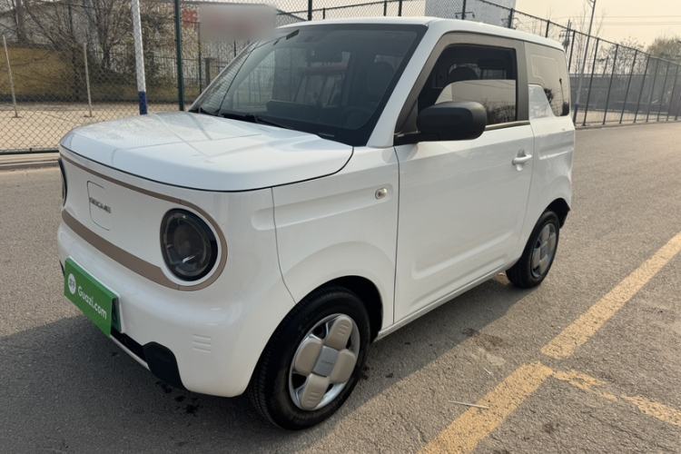 Used  Panda 2023 Panda Mini 200km Endurance Bear
