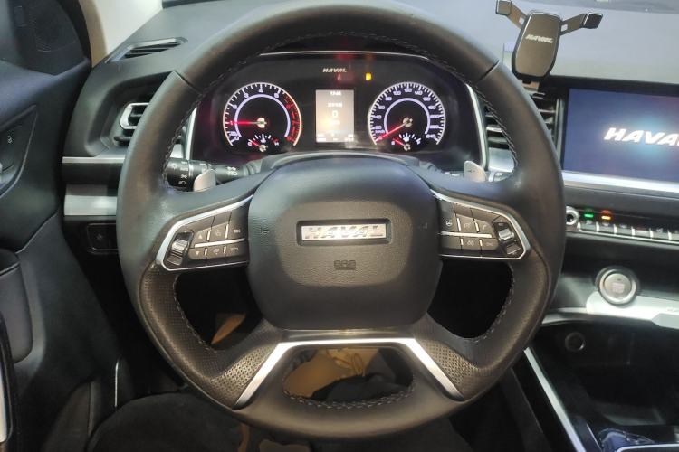 Used Haval H6 2017 Red Label 2.0T Automatic Two-Wheel Drive ZhiShang Model