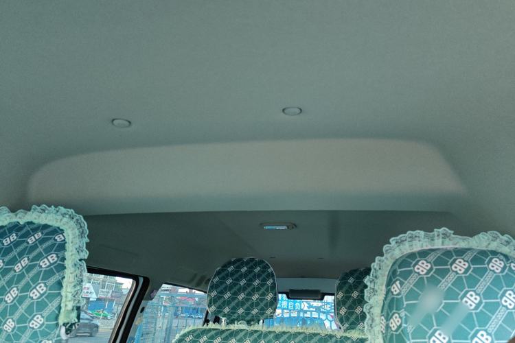 Used FORTHING Lingzhi 