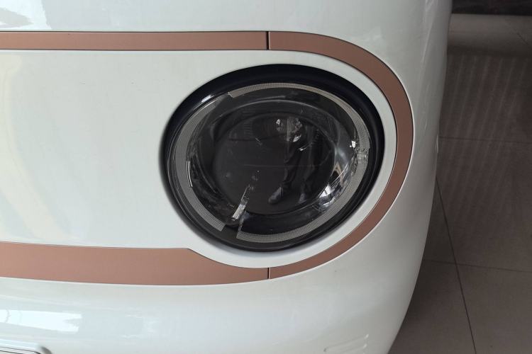 Used  Panda 2024 Panda Mini 200km Endurance Bear
