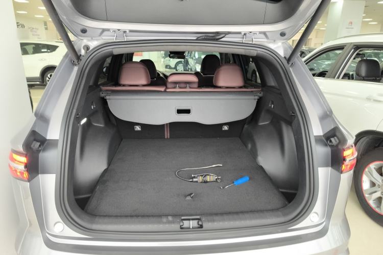 Used Geely Auto Monjaro L 2021 2.0TD DCT EVO Two-Wheel Drive Prestige Version
