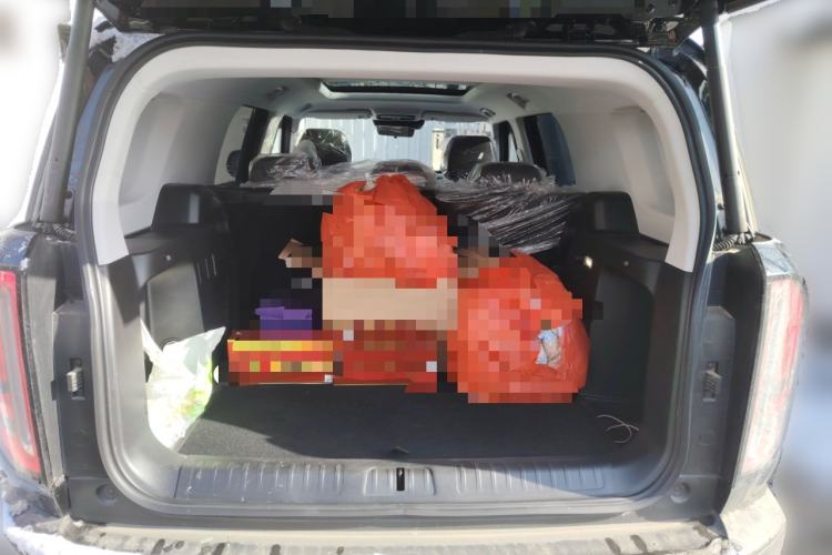 Used  BJ30 2024 1.5T Light Wilderness Pro Edition