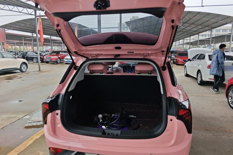 Used NETA V 2022 Chao 400 Lite Pink Custom Edition
