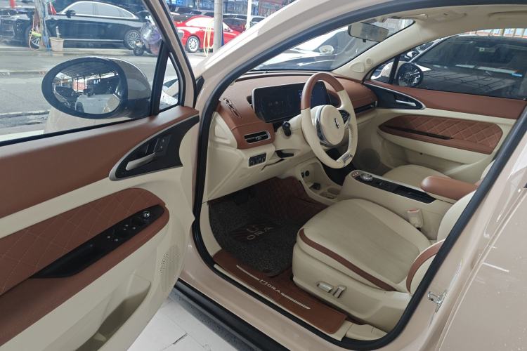 Used ORA Good Cat 2022 400km Standard Range Luxury Version Lithium Iron Phosphate