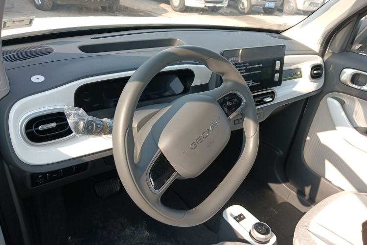 Used  Panda 2025 210 km – Yuanqi Bear
