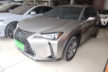 Used Lexus UX New Energy 2020 300e Pure·Joy Edition