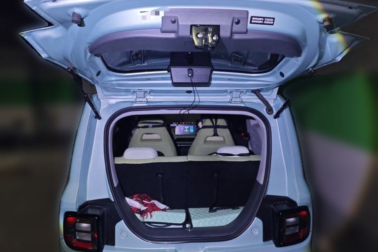 Used  Panda 2024 Panda Mini 200km Endurance Bear