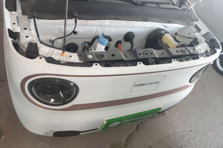 Used  Panda 2024 Panda Mini 200km Endurance Bear