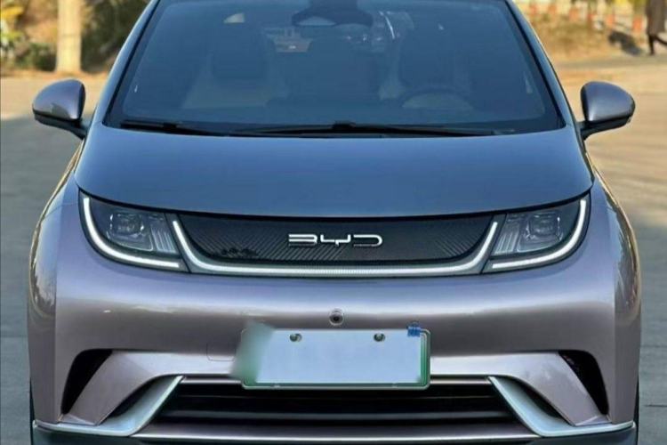 Used BYD Dolphin 2021 401km Knight Edition
