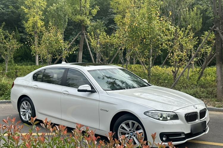 Used BMW 5 Series 2014 520Li Elegant Model