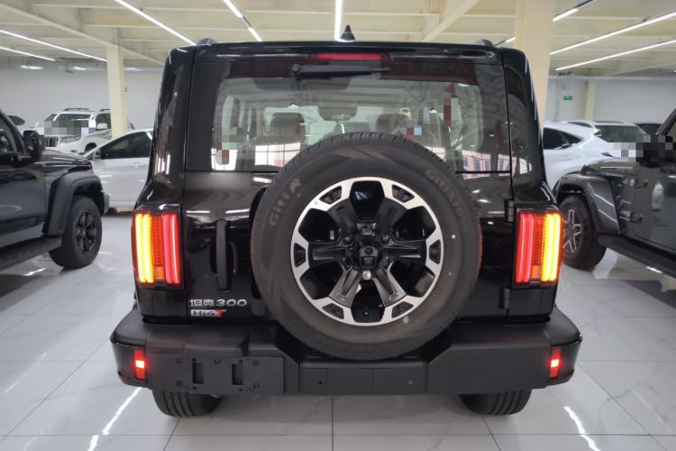 Used Tank 300 New Energy 2025 Hi4-T
