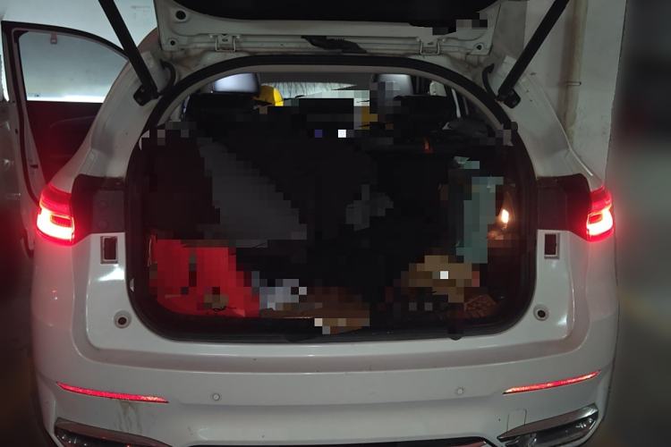 Used Haval F7 2021 2.0T Two-Wheel Drive i-Van
