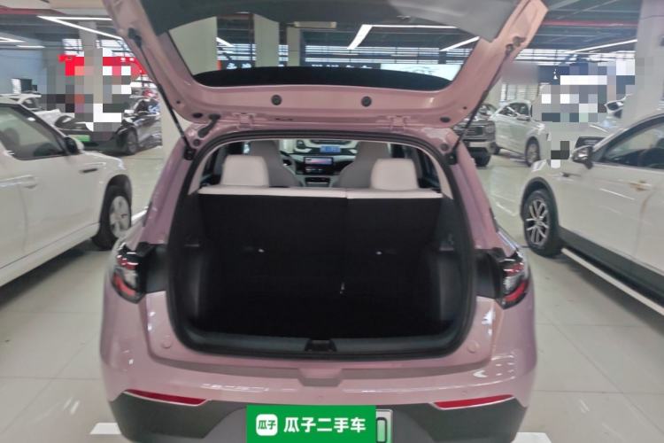 Used  Geome 2025 310km Youth Edition
