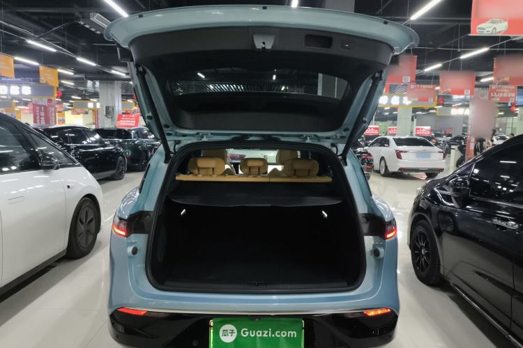 Used VOYAH FREE 2021 Two-Wheel Drive Standard Pure Electric City Edition
