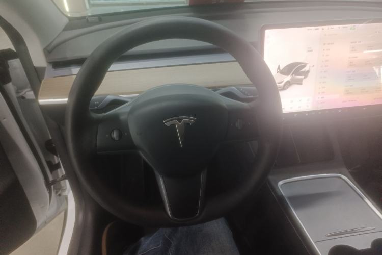 Used Tesla Model Y 2021 Standard Range Rear-Wheel Drive Version
