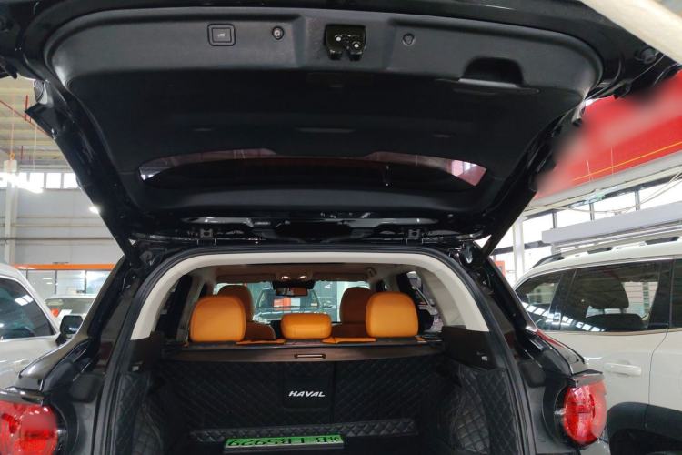 Used Haval H Dog New Energy 2023 DHT-PHEV 105km Tide Electric Version Plus
