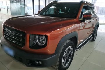 Used Haval DARGO 2021 2.0T DCT 4x4 Chinese Rural Dog Edition