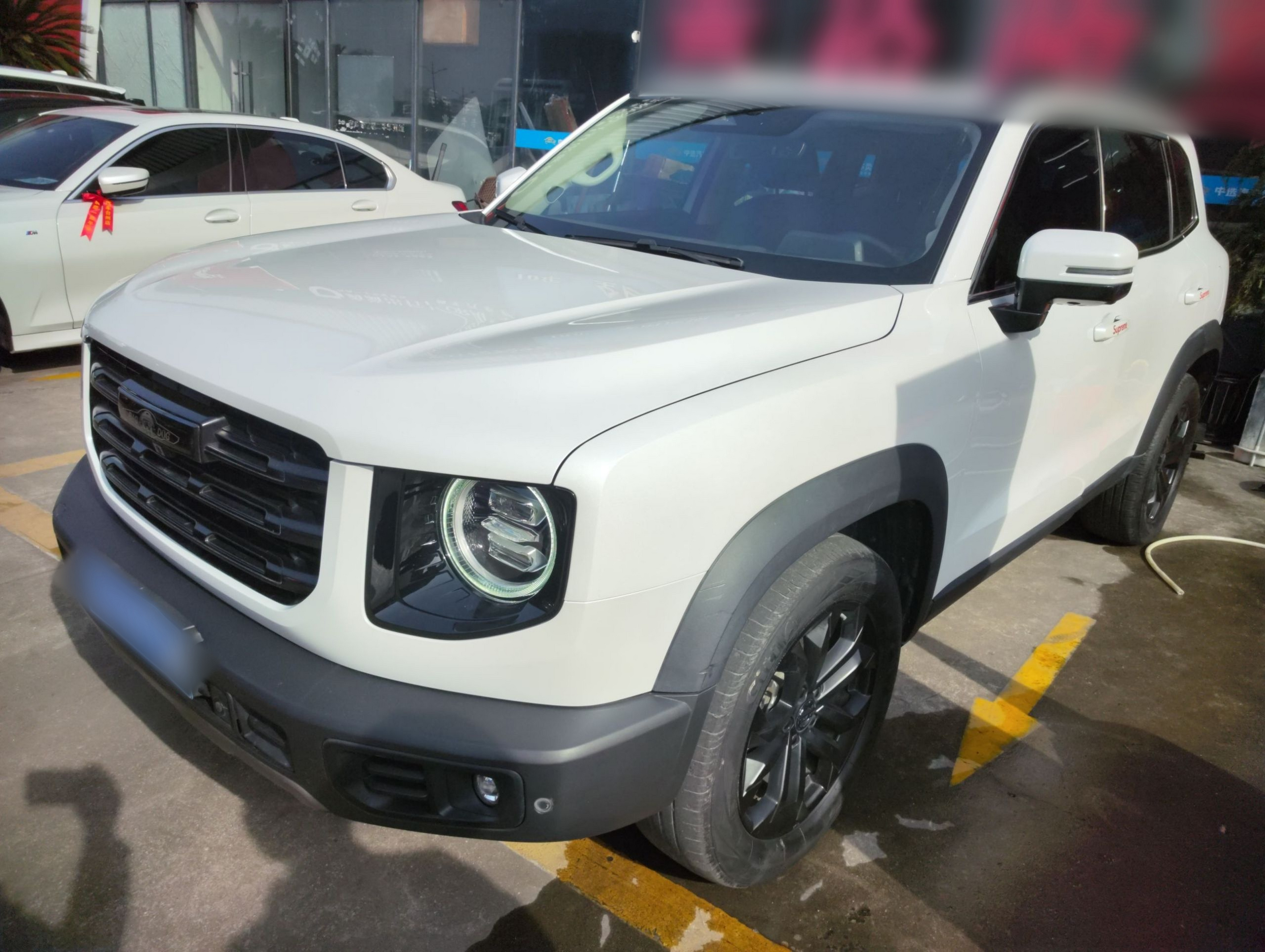 تحت مقدمة السيارة