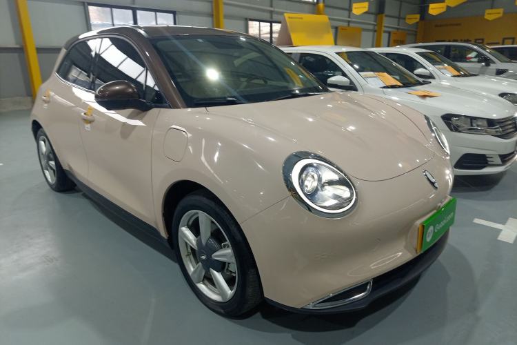 Used ORA Good Cat 2022 400km Standard Range Premium Version Lithium-Ion Battery
