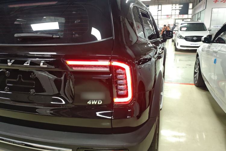 Used Haval DARGO 2021 2.0T DCT 4x4 Chinese Rural Dog Edition