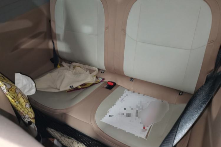 Used Geely Galaxy Panda 2023 Panda Mini 200km Endurance Bear