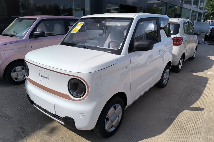 Used  Panda 2024 Panda Mini 200km Endurance Bear

