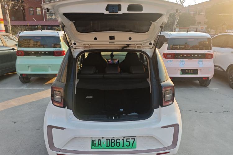 Used SOL E10X 2022 Flower Fairy Design Four-Leaf Clover