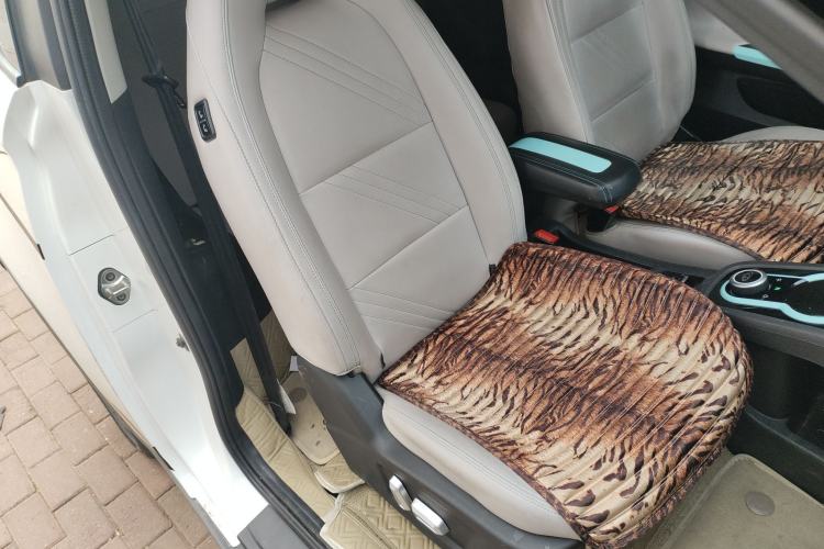 Used Chery Little Ant 2021 150 000 Yuan "Ant Fan" Edition New Ant Cool Version Lithium-Ion Battery
