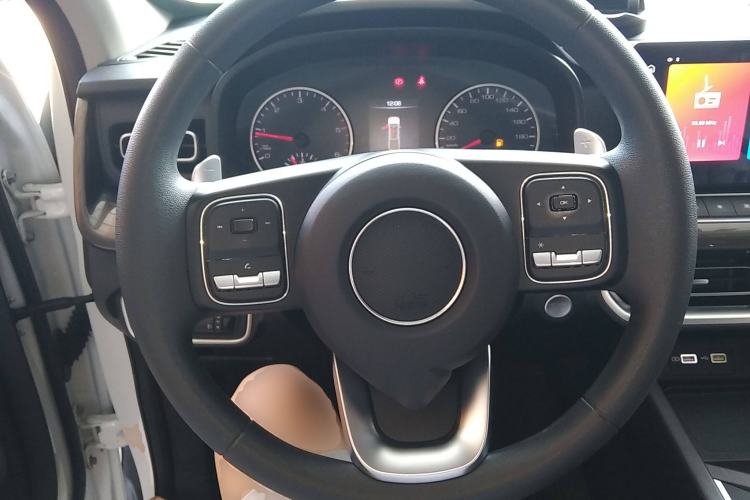 Used Great Wall Poer 2024 2.4T Commercial Version Automatic Diesel Two-Wheel Drive Elite Edition
