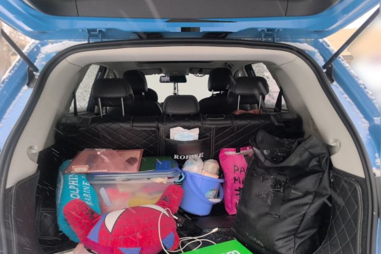 Used Roewe RX5 2016 20T Two-Wheel Drive Automatic Flagship Edition