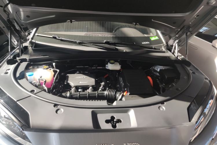 Used BYD Song PLUS New Energy 2025 DM-i Smart Drive 112KM Prestige Model
