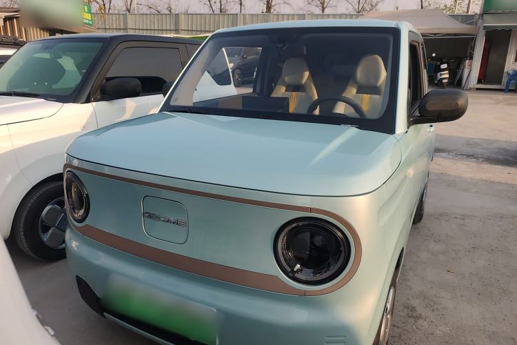 Used  Panda 2024 Panda Mini 200km Endurance Bear