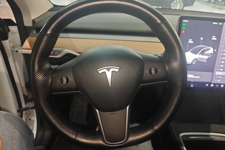 Used Tesla Model Y 2021 Standard Range Rear-Wheel Drive Version
