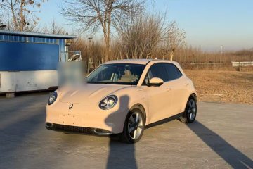 Used ORA Good Cat 2023 501 km Long-Range Luxury Version Ternary Lithium