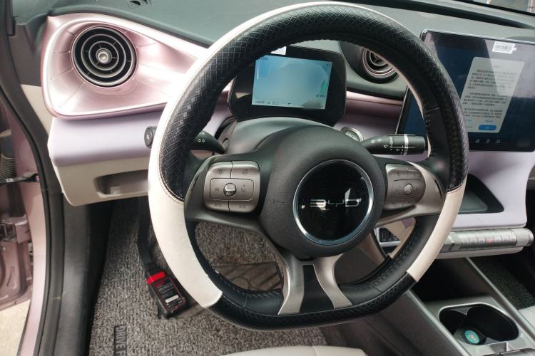 Used BYD Dolphin 2021 405 km Free Version
