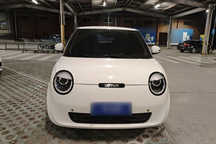 Used  Lumin 2023 205km Xiangqin Version
