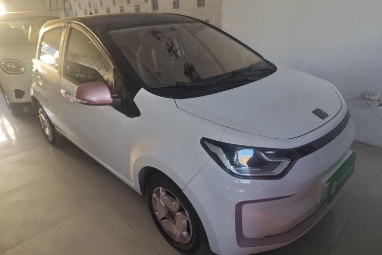 Used SOL E10X 2022 Flower Fairy Style Baby's Breath
