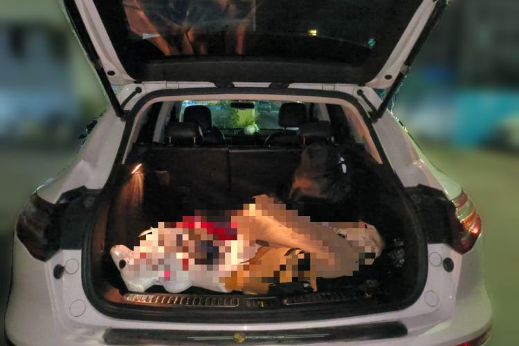 Used Zotye SR9 2017 2.0T Automatic Ultimate Edition
