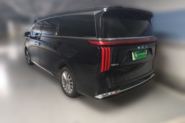 Used Wey Gaoshan 2023 Four-Wheel-Drive Executive Extended Version