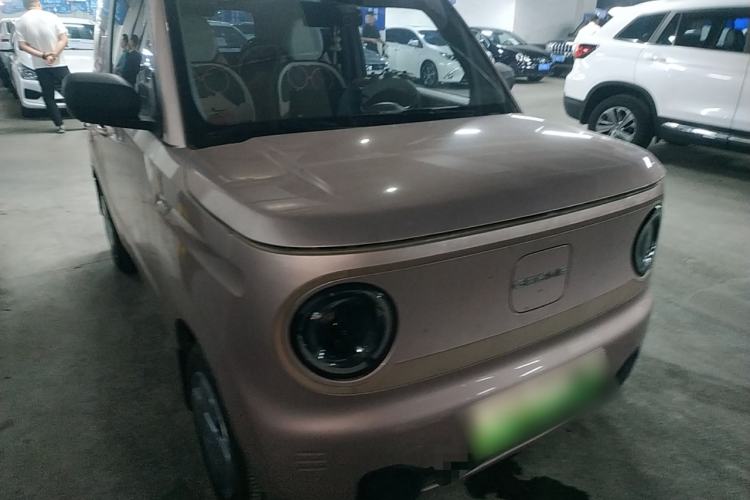 Used  Panda 2023 Panda Mini 200km Endurance Bear
